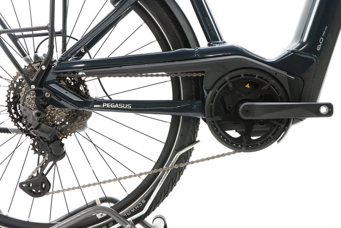Pegasus Premio Evo 11 40 Years 2023