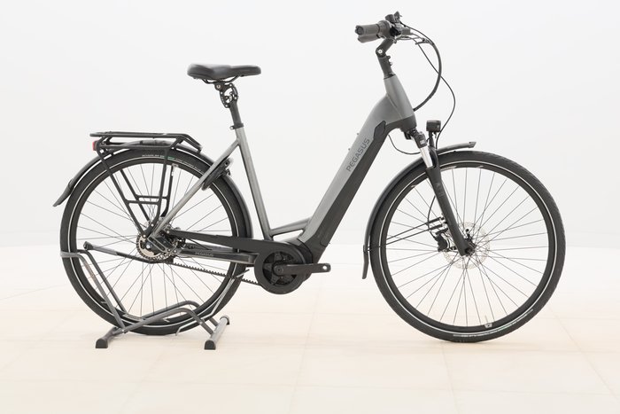 Pegasus PREMIO EVO 5F BELT 625 2024