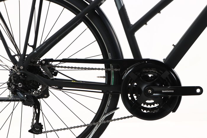 Bergamont SPONSOR DISC 2023