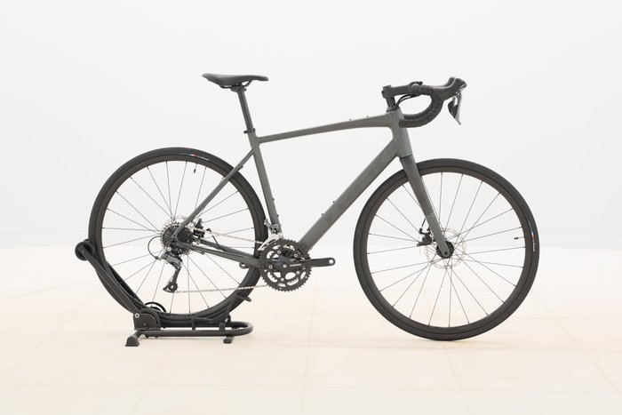 Trek DOMANE AL 2 GEN 4 2024