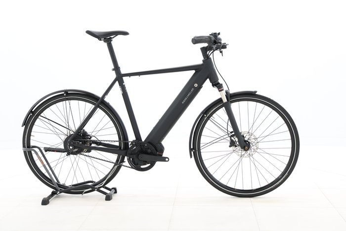 Riese & Müller Roadster Vario 2022