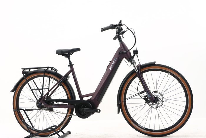 Pegasus PREMIO EVO 5R 500 2023
