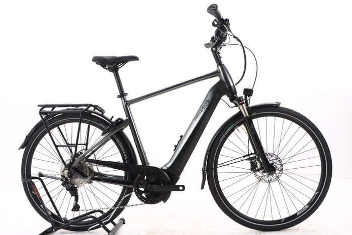 Pegasus PREMIO EVO 10 625 2022