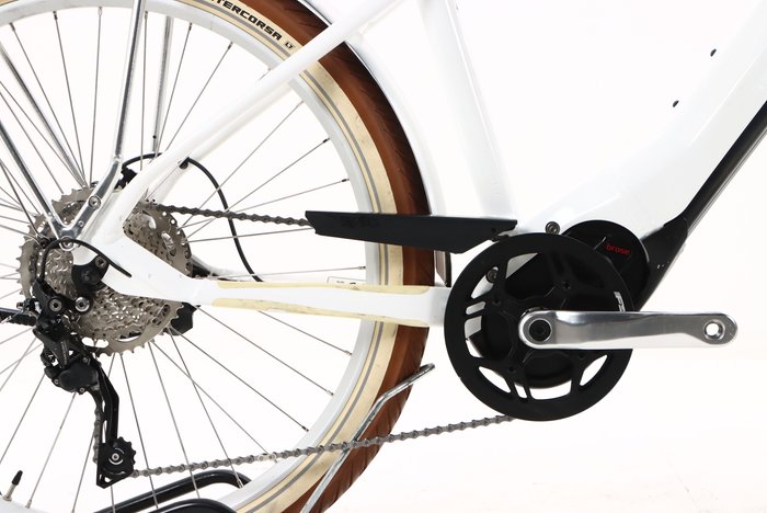 Bulls Sturmvogel Evo 10 2022