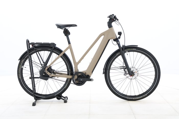 Rose MAYOR PLUS 3 2024