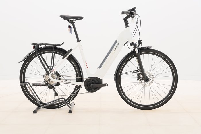 Raleigh KENT 9 2022