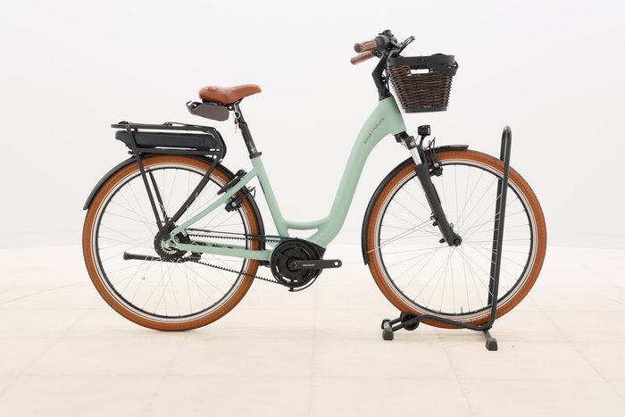 Riese & Müller SWING VARIO 2024