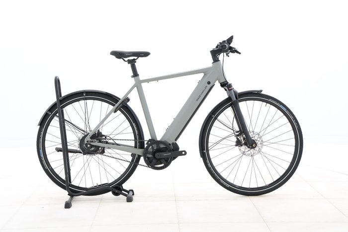 Riese & Müller Roadster4 vario 2024