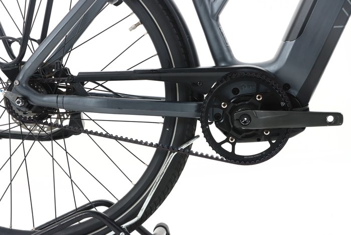 van Dijck KALII 3.0 BELT 2023