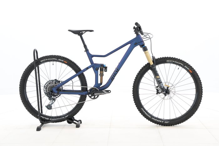 Rose Root Miller 3 2024