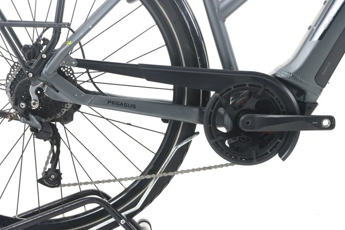 Pegasus EVO CX 500 2022