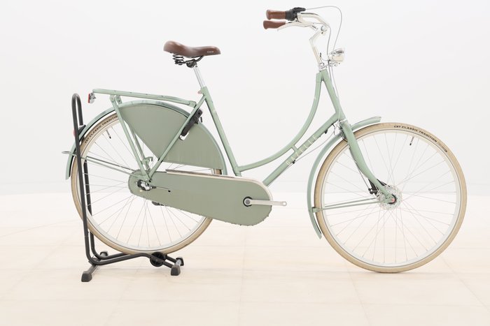 Gazelle CLASSIC R3T 2024