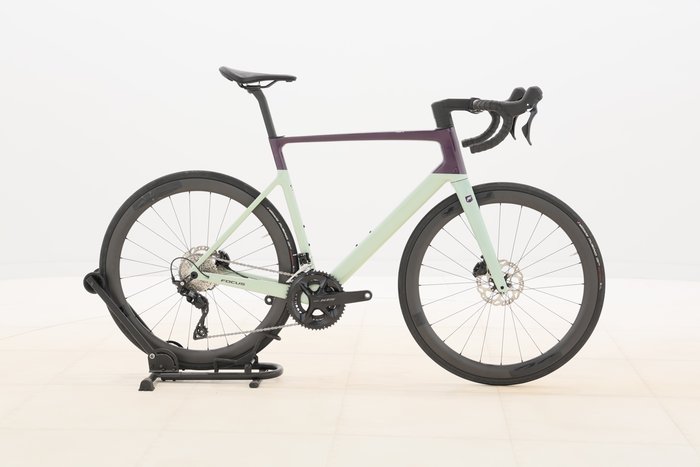 Focus IZALCO MAX 8.8 2024
