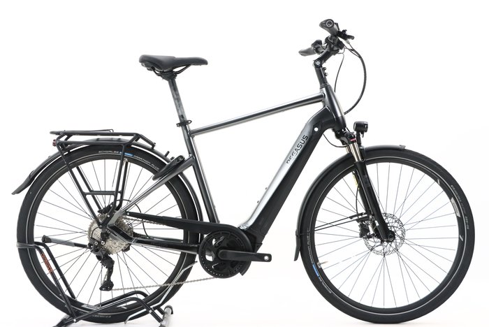 Pegasus PREMIO EVO 10 LITE 625 2022