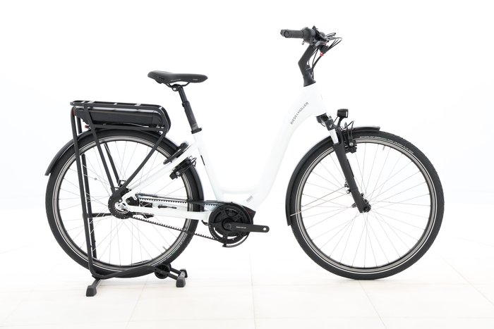 Riese & MŸller Swing vario 2022