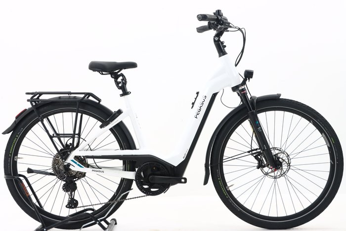 Pegasus Premio Evo 11 40 Years 2022