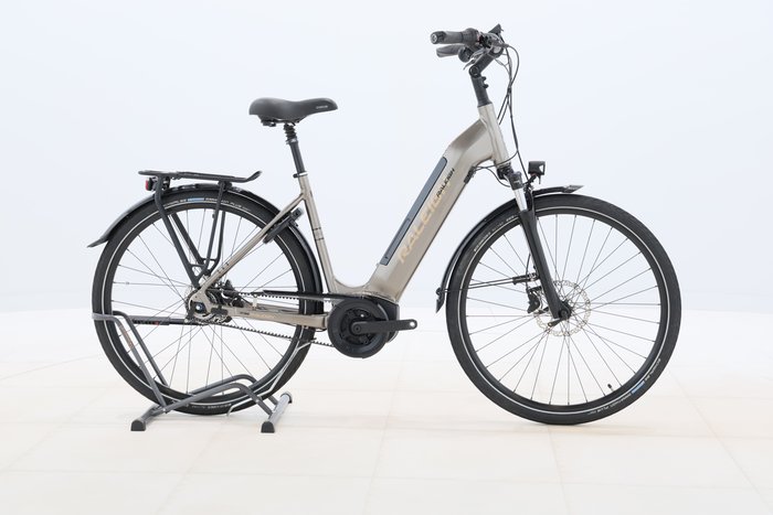 Raleigh BRISTOL PREMIUM 2022