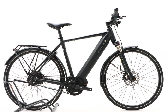Riese & Müller ROADSTER VARIO 500 2021