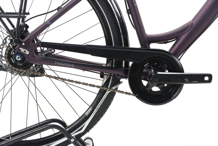 Pegasus SAVONA SL DISC 8 2021