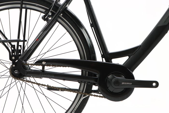 Pegasus SOLERO SL 7 2022
