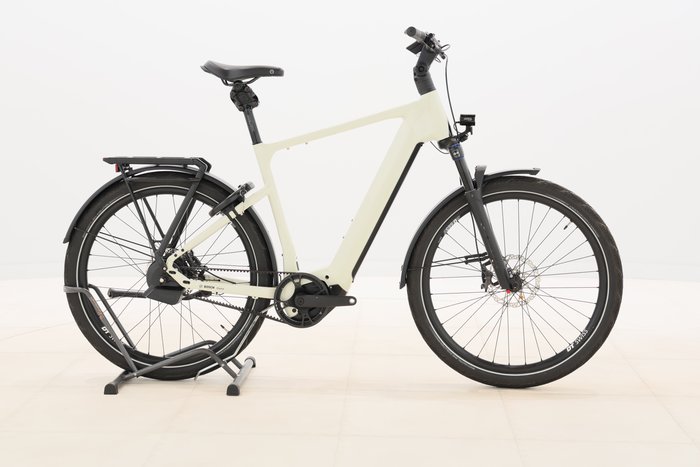 Rose MAYOR PLUS 3 2024