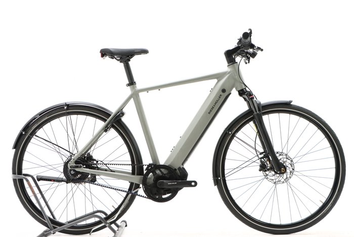Riese & Müller Roadster4 vario 2024