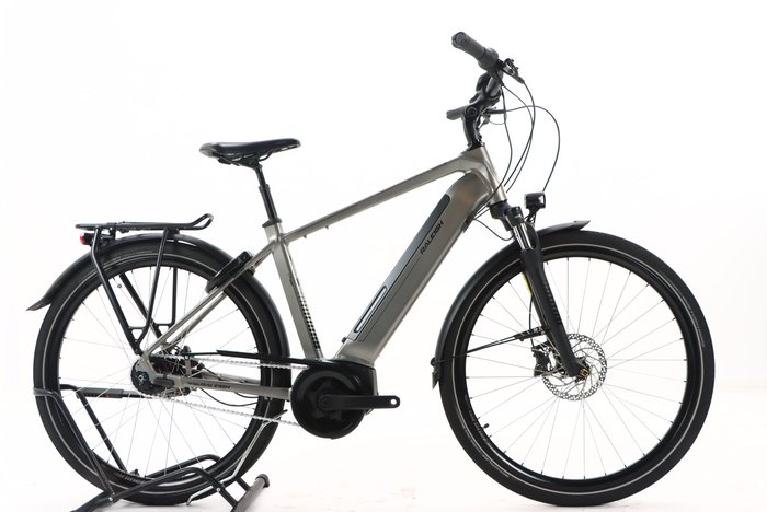 Raleigh BRISTOL XXL 2021