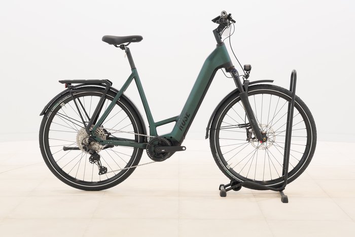 Rose MAYOR PLUS 2 KOMFORT 2022