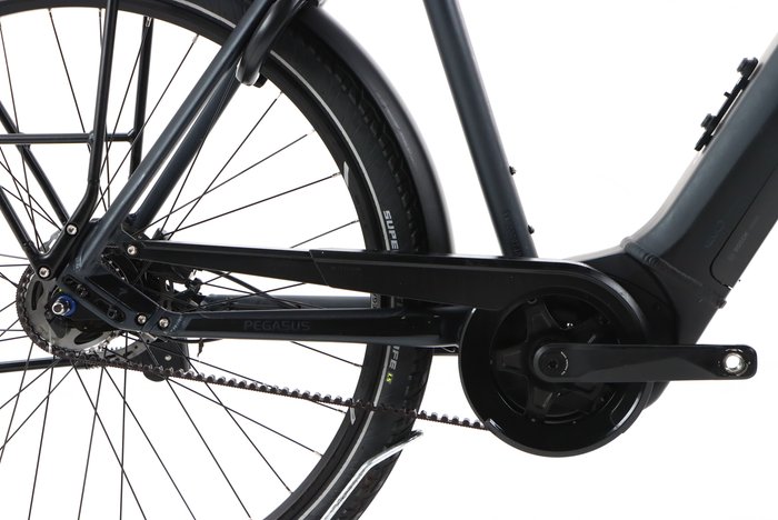 Pegasus PREMIO EVO 5R BELT 625 2023