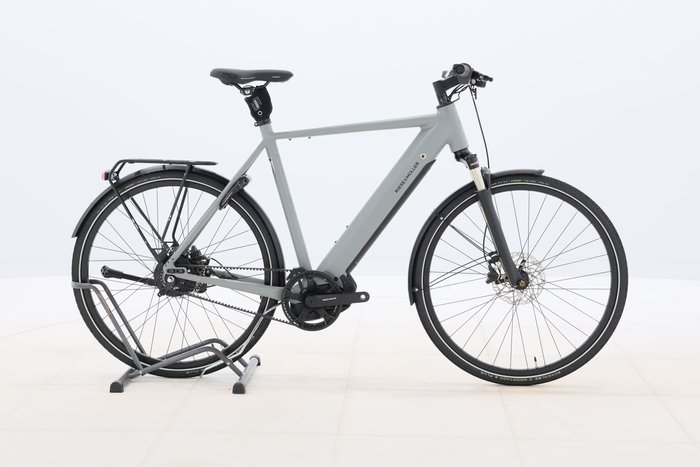 Riese & Müller Roadster Vario 2022