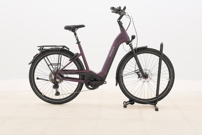 Pegasus Premio Evo 11 40 Years 2022