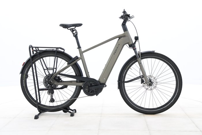 Pegasus PREMIO EVO 10 LITE 800 2025