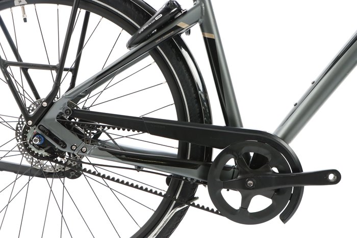 Pegasus PREMIO SL BELT 8 2023