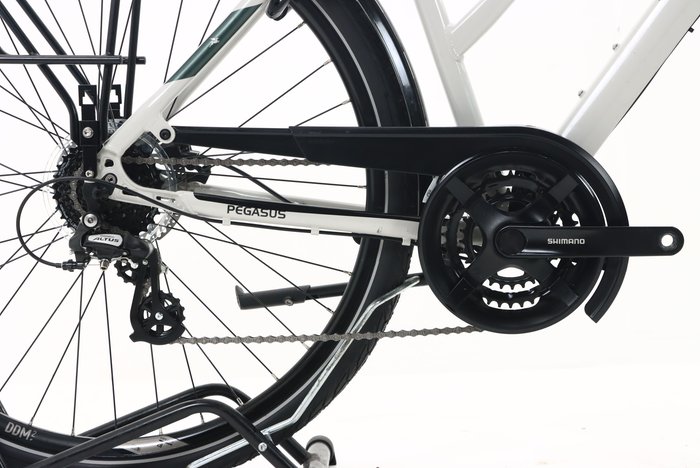 Pegasus SOLERO SL DISC 24 2024