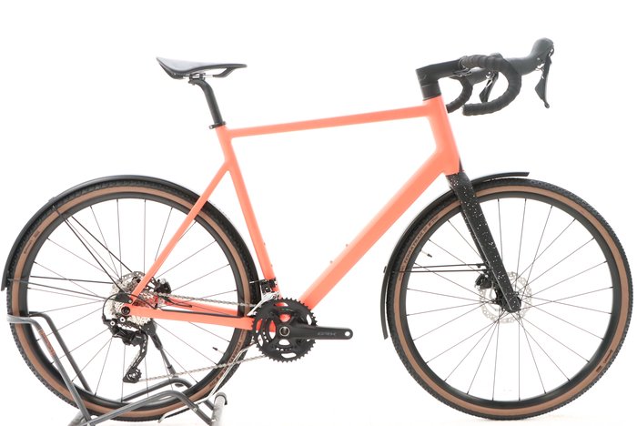 Rose Blend 2024