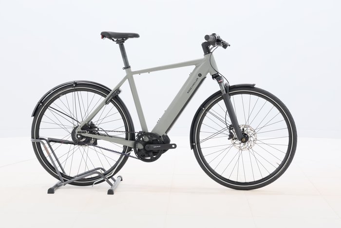 Riese & Müller Roadster4 vario 2024