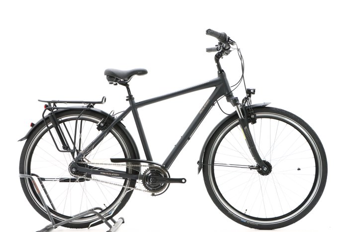 Raleigh Chester 8 2021