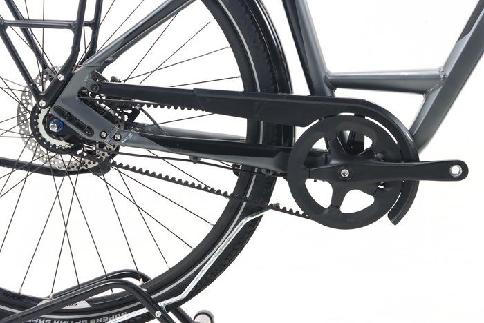 Pegasus PREMIO SL BELT 8 2022