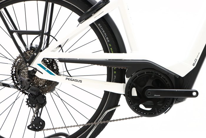 Pegasus Premio Evo 11 40 Years 2022