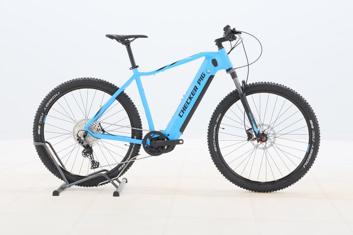 Checker Pig ACTIVE PIG 2025