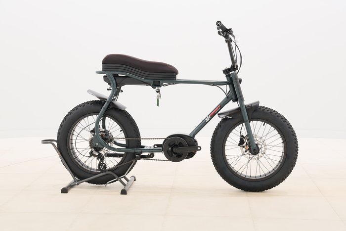 Ruff Cycles Lil`Buddy 2020