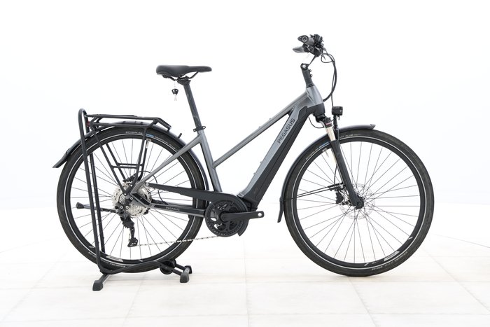 Pegasus Premio Evo 10 lite 2022