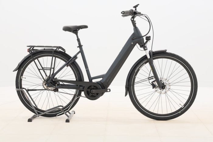 Pegasus PREMIO EVO 5R BELT 2022