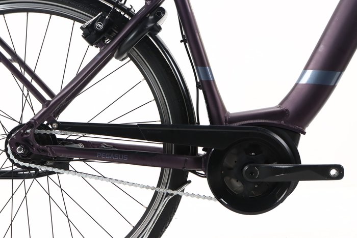 Pegasus SOLERO EVO 8R 500 2022