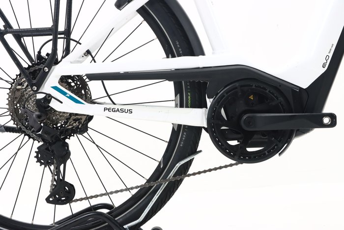 Pegasus Premio Evo 11 40 Years 2022