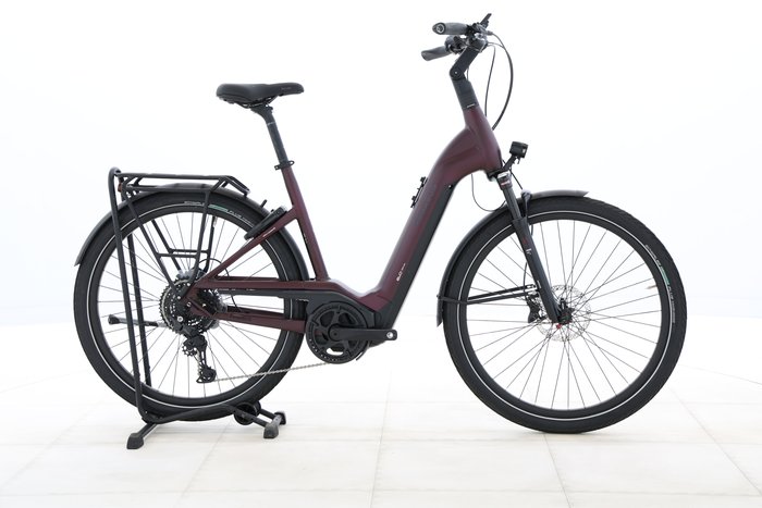 Pegasus Strong EVO 10 Lite 2024