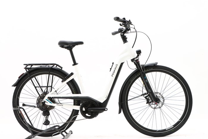 Pegasus Premio Evo 11 40 Years 2022