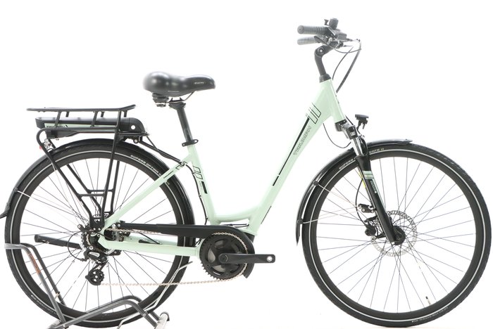 Triumph E-BIRD 300 2023