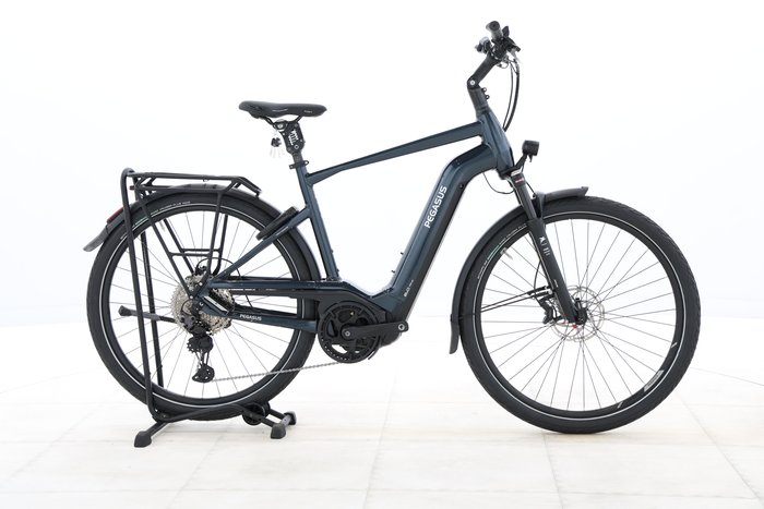 Pegasus Premio Evo 11 40 Years 2022