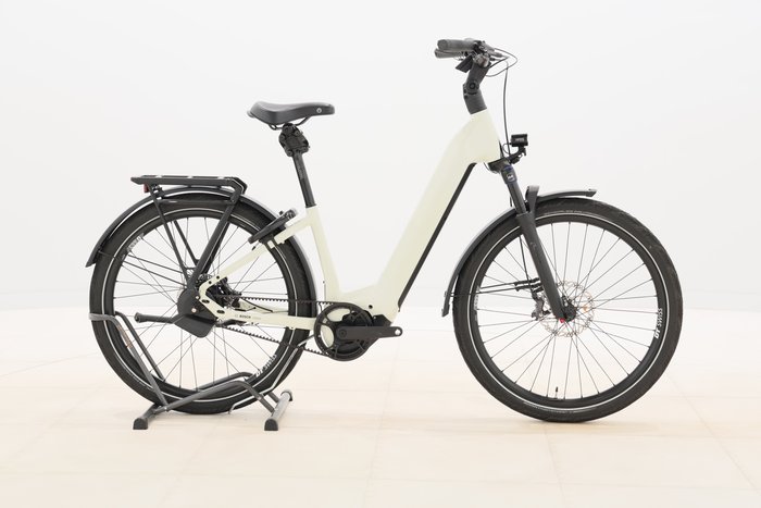 Rose MAYOR PLUS 3 2025